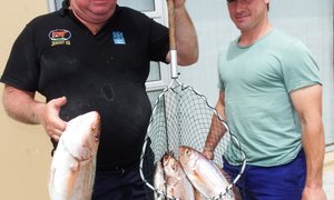 KoeÃ«l is deur die vis